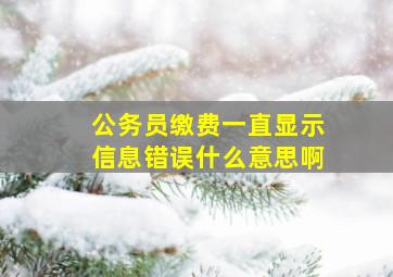 公务员缴费一直显示信息错误什么意思啊