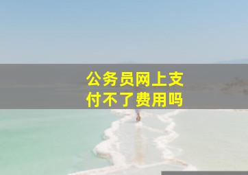 公务员网上支付不了费用吗