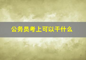 公务员考上可以干什么