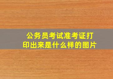 公务员考试准考证打印出来是什么样的图片