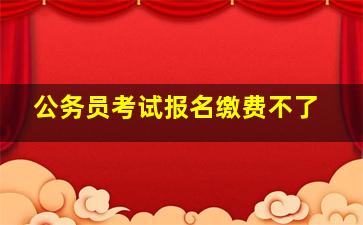 公务员考试报名缴费不了