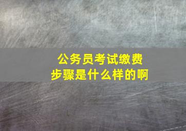 公务员考试缴费步骤是什么样的啊