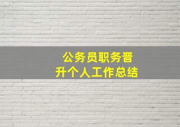 公务员职务晋升个人工作总结