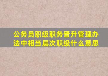 公务员职级职务晋升管理办法中相当层次职级什么意思