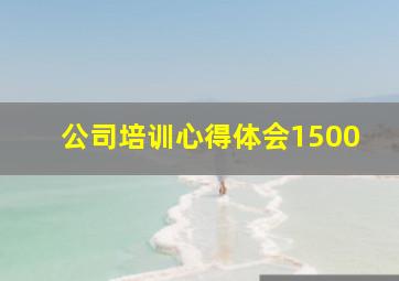 公司培训心得体会1500