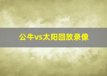 公牛vs太阳回放录像