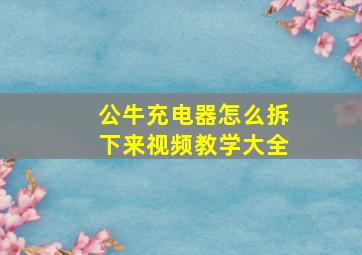 公牛充电器怎么拆下来视频教学大全