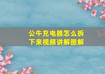 公牛充电器怎么拆下来视频讲解图解