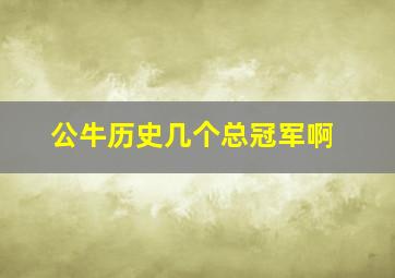 公牛历史几个总冠军啊