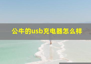 公牛的usb充电器怎么样