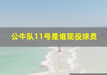 公牛队11号是谁现役球员