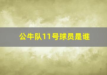 公牛队11号球员是谁