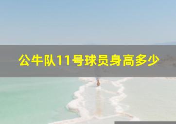 公牛队11号球员身高多少