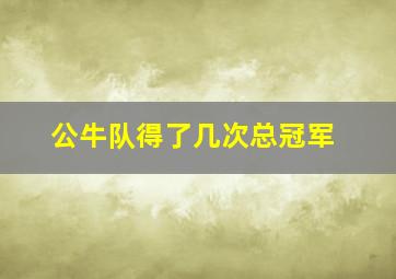 公牛队得了几次总冠军