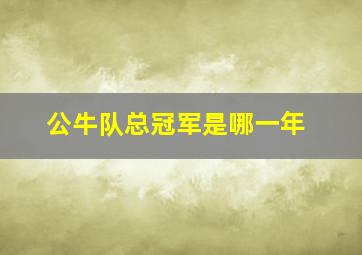 公牛队总冠军是哪一年