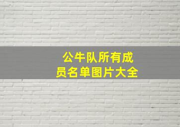 公牛队所有成员名单图片大全