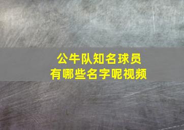 公牛队知名球员有哪些名字呢视频