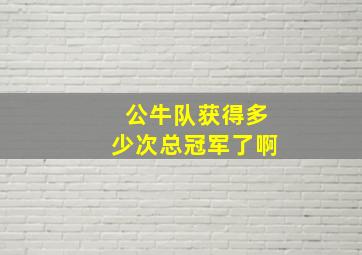 公牛队获得多少次总冠军了啊