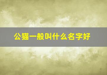 公猫一般叫什么名字好