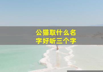 公猫取什么名字好听三个字