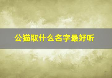 公猫取什么名字最好听