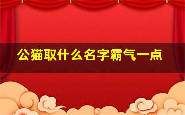 公猫取什么名字霸气一点