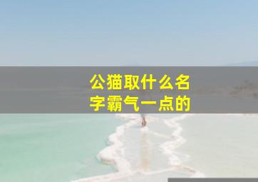 公猫取什么名字霸气一点的