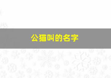 公猫叫的名字