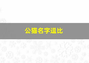 公猫名字逗比