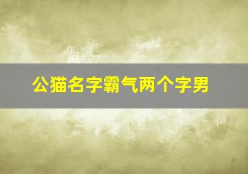 公猫名字霸气两个字男