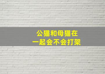 公猫和母猫在一起会不会打架