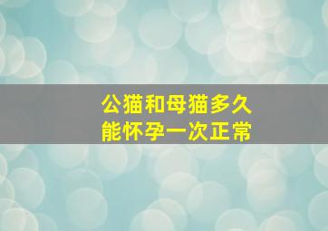 公猫和母猫多久能怀孕一次正常