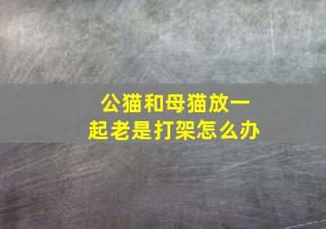 公猫和母猫放一起老是打架怎么办