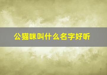 公猫咪叫什么名字好听