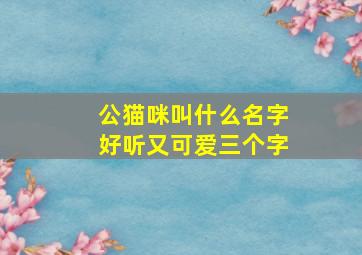 公猫咪叫什么名字好听又可爱三个字