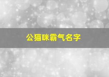 公猫咪霸气名字