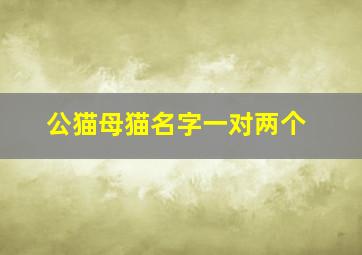 公猫母猫名字一对两个