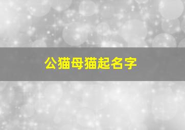 公猫母猫起名字