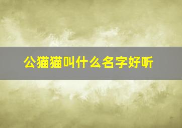 公猫猫叫什么名字好听