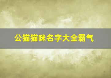 公猫猫咪名字大全霸气