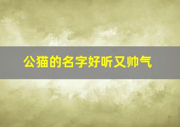 公猫的名字好听又帅气