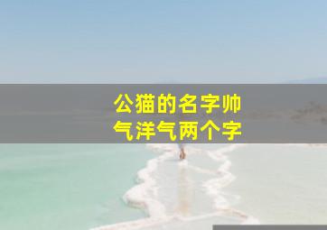 公猫的名字帅气洋气两个字