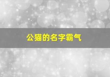 公猫的名字霸气