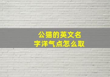 公猫的英文名字洋气点怎么取