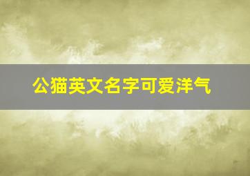 公猫英文名字可爱洋气