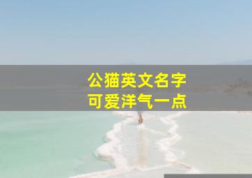 公猫英文名字可爱洋气一点