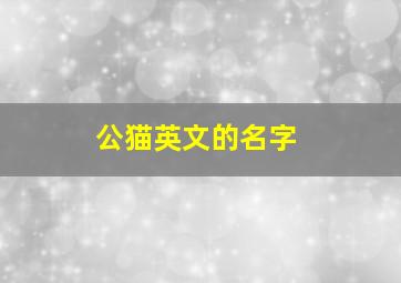 公猫英文的名字