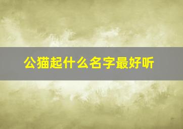 公猫起什么名字最好听