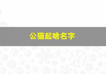 公猫起啥名字