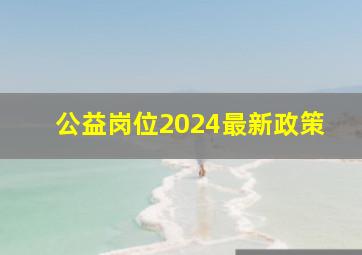 公益岗位2024最新政策